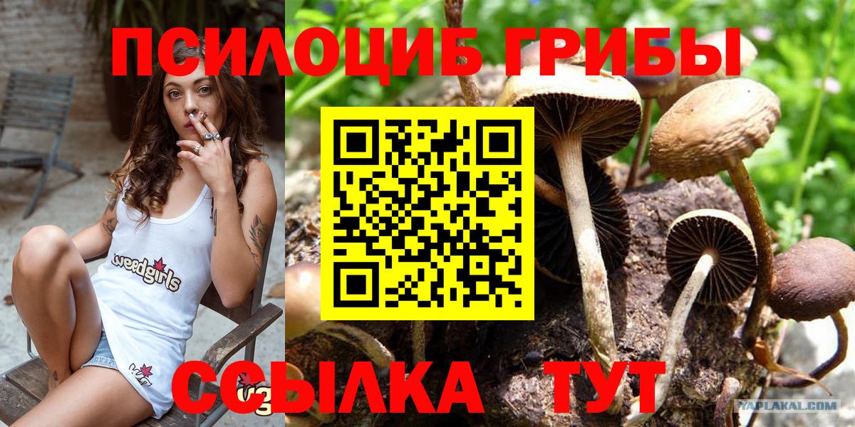 Красноуфимск  Галлюциногенные грибы Cubensis  Вход с VPN 