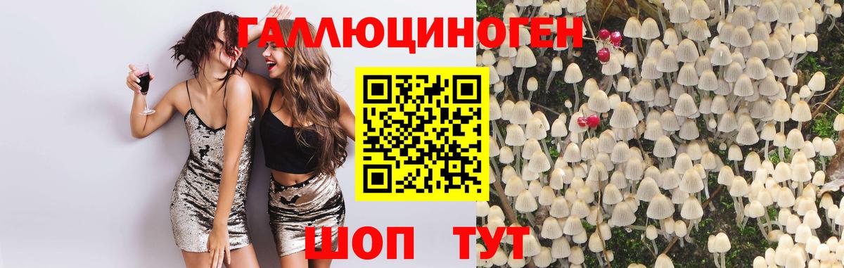 Псилоцибиновые грибы Cubensis Красноуфимск